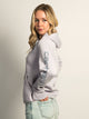 CARHARTT CARHARTT LOGO SLEEVE PULL OVER HOODIE - MICA - Boathouse