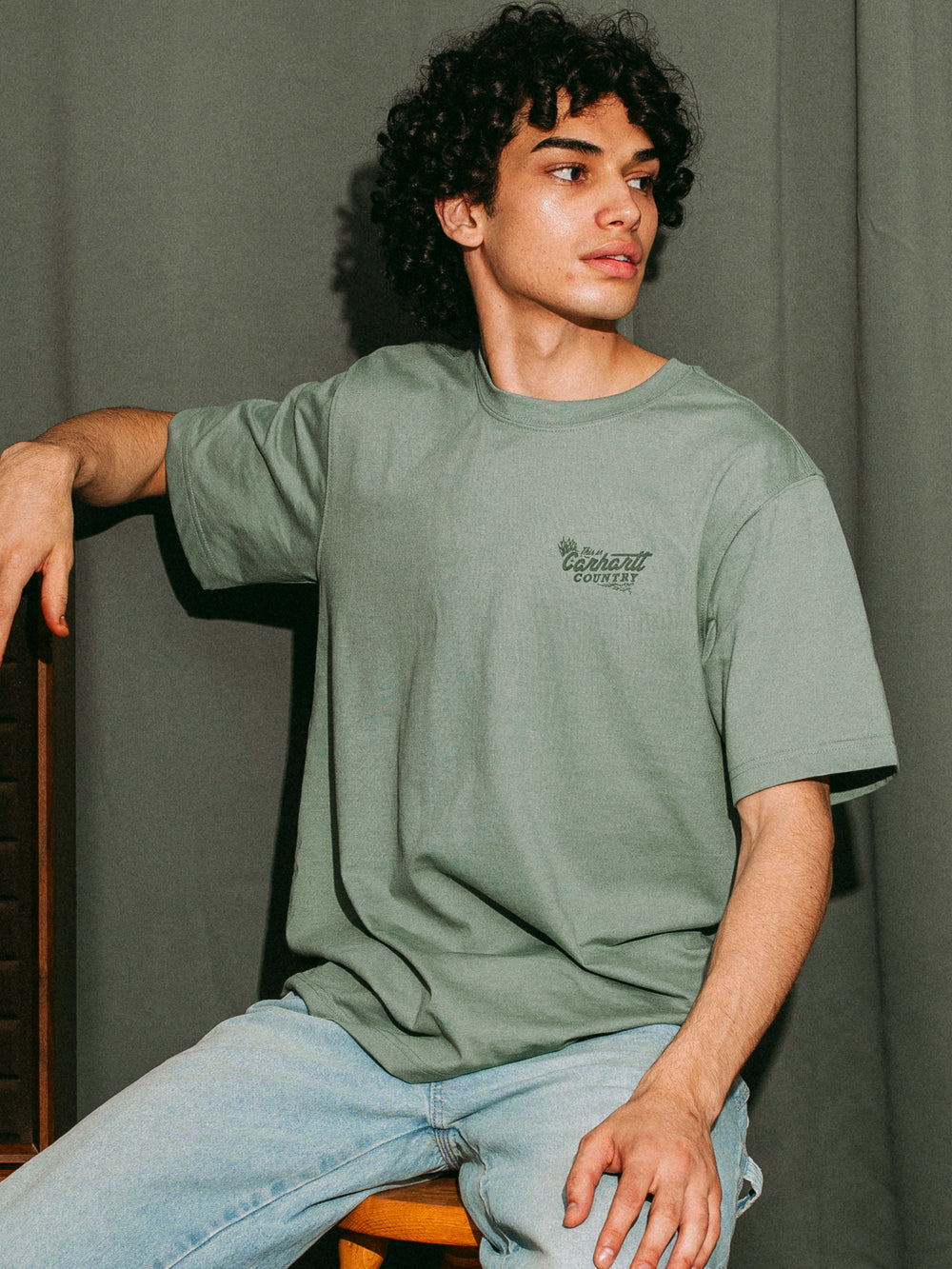 CARHARTT IRVINE RLXD COUNTRY TEE