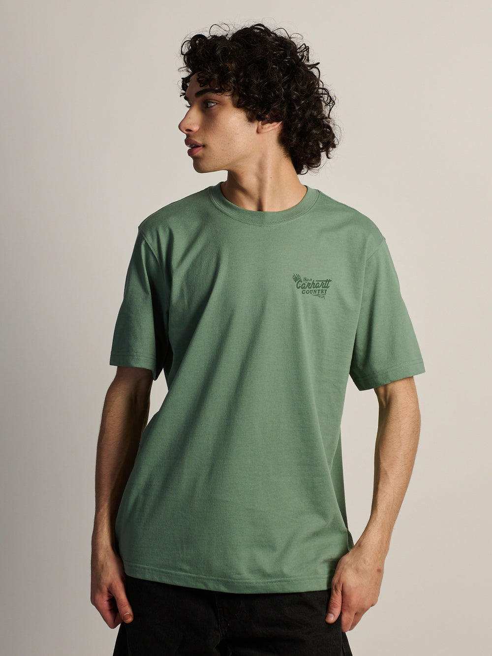 CARHARTT IRVINE RLXD COUNTRY TEE
