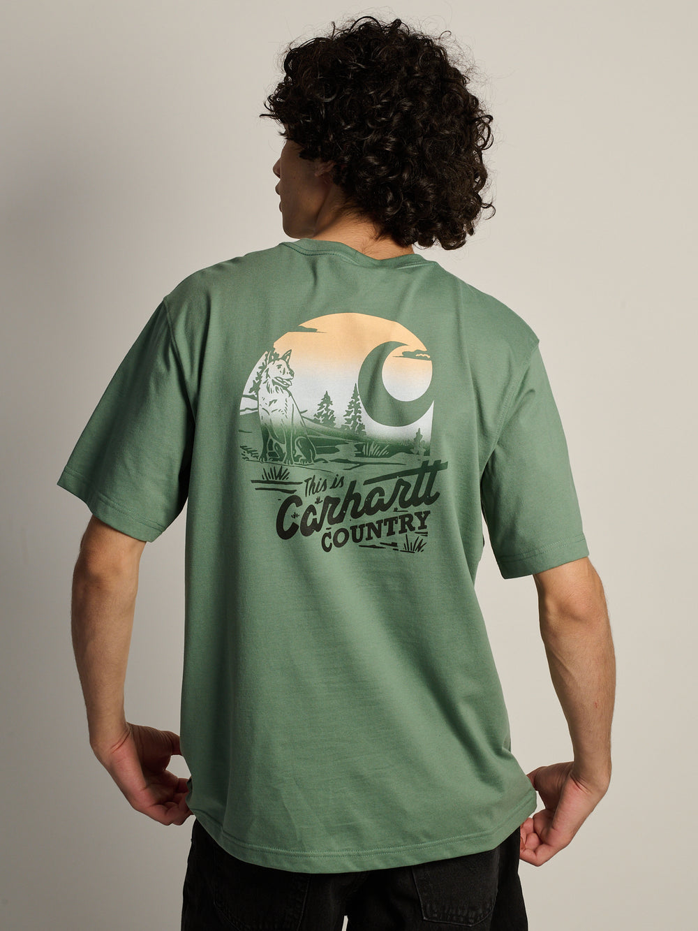 CARHARTT CARHARTT IRVINE RLXD COUNTRY TEE - Boathouse