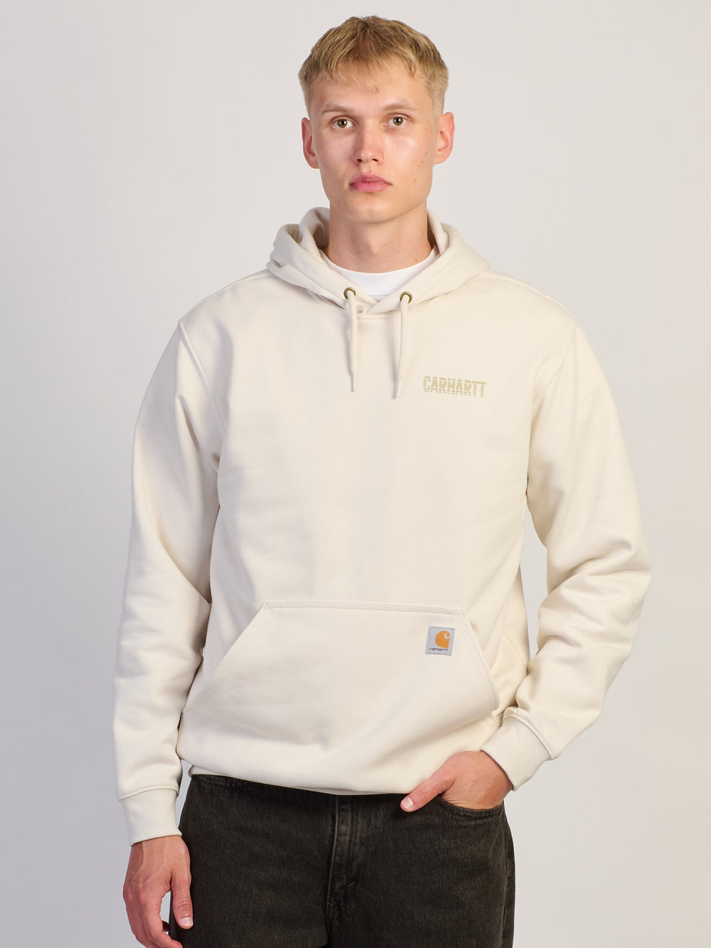 CARHARTT PAXTON LG GRAPHIC PULL OVER HOODIE
