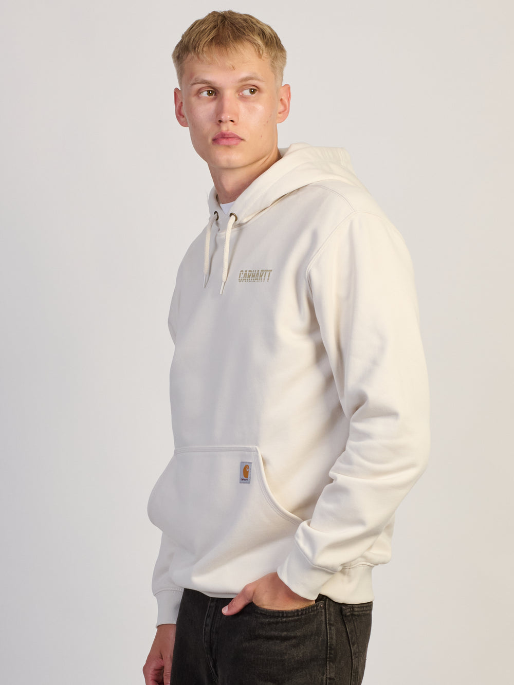 CARHARTT PAXTON LG GRAPHIC PULL OVER HOODIE