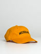 CHAMPION CHAMPION MICHIGAN ADJUSTABLE TWILL HAT - CLEARANCE - Boathouse