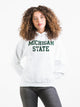 CHAMPION CHAMPION MICHIGAN STATE HOODIE - CLEARANCE - Boathouse
