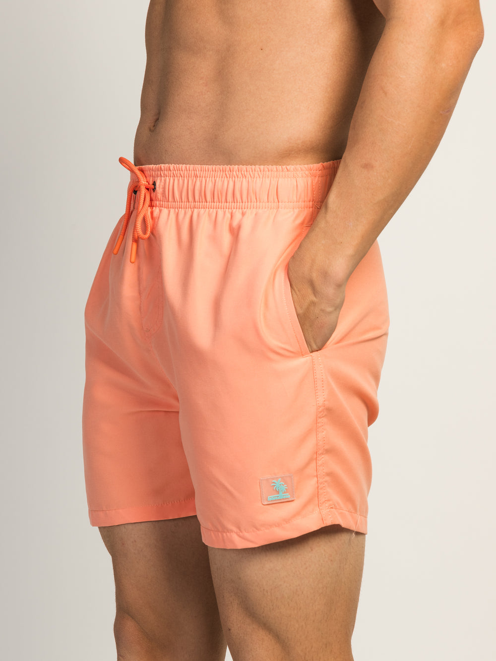 ISLAND HAZE PEACH WAVE 5" VOLLEY SHORT