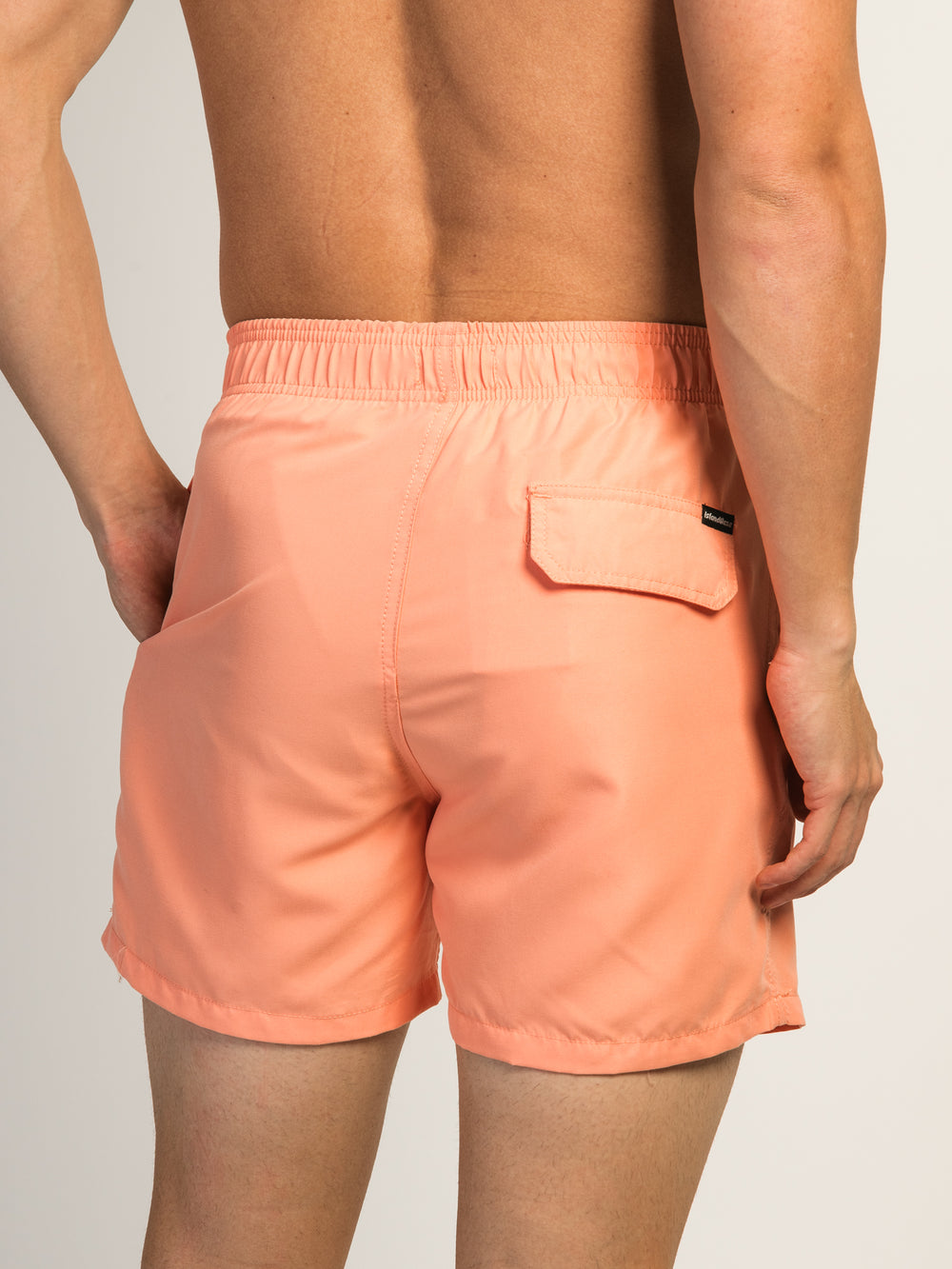 ISLAND HAZE PEACH WAVE 5" VOLLEY SHORT