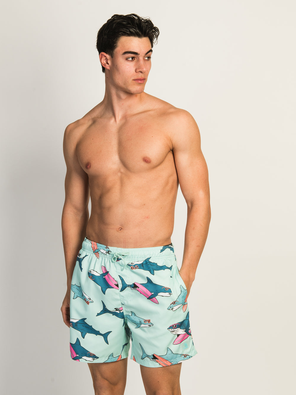 ISLAND HAZE SURFING SHARK 5IN VOLLEY SHORT - AQUA