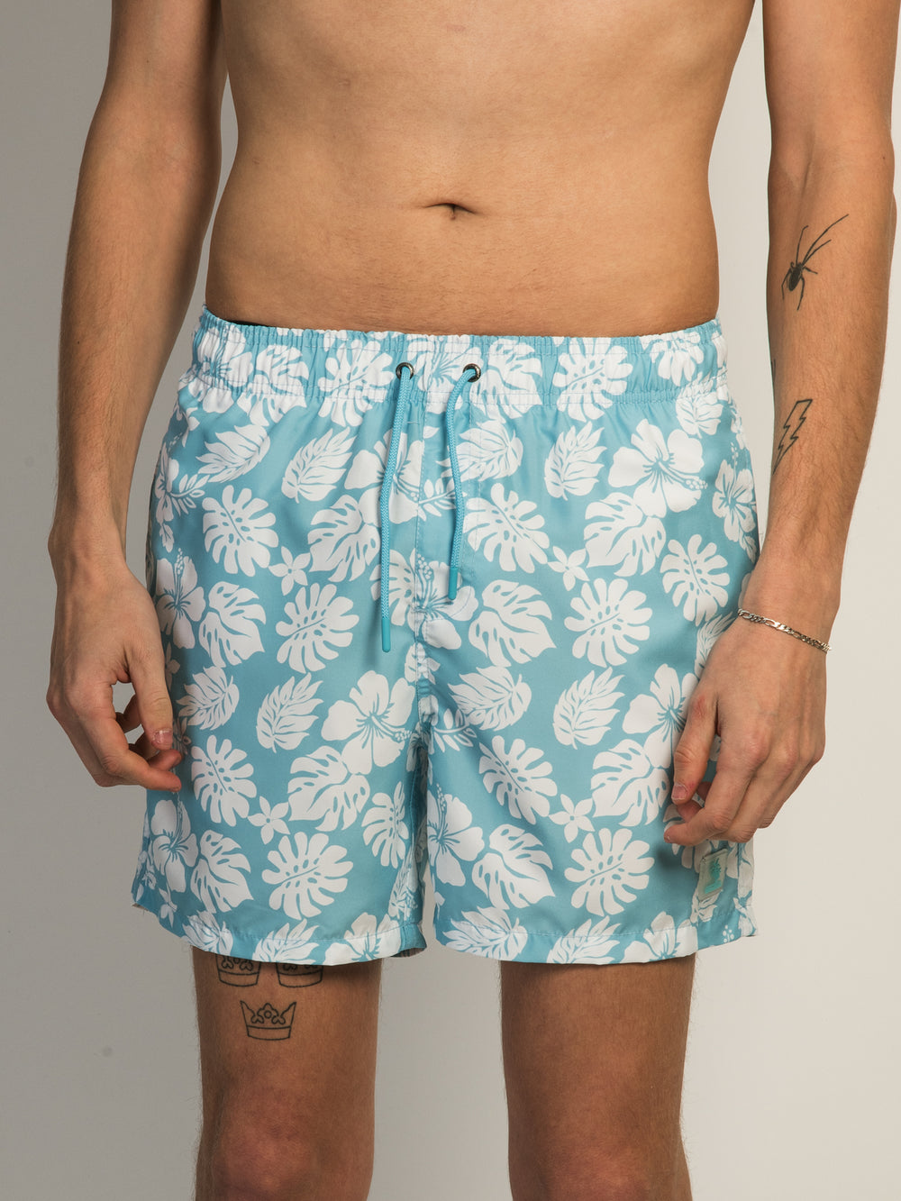 ISLAND HAZE HIBISCUS 5" VOLLEY