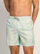 ISLAND HAZE ISLAND HAZE VERTICAL STRIPE 5IN VOLLEY SHORT - Boathouse