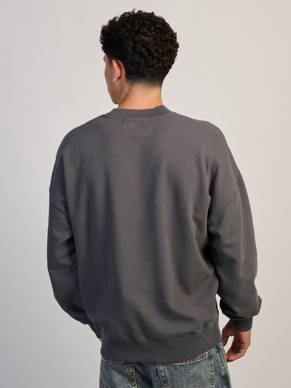 KOLBY KOLBY RELAXED FIT CREW - ASH - Boathouse