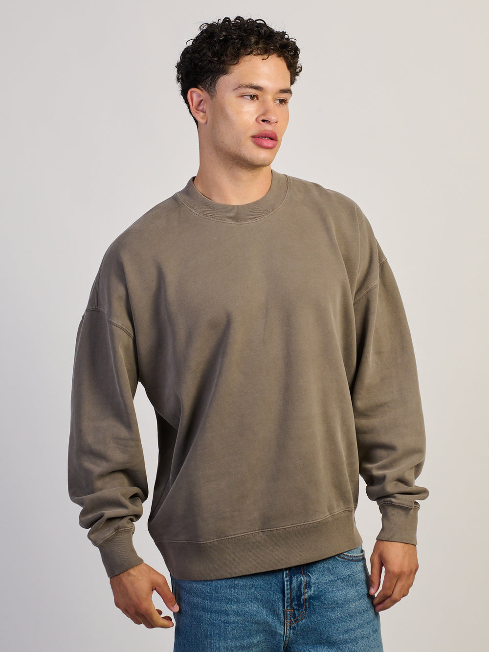 KOLBY KOLBY STRIPED RELAXED CREW FIT - IRON - Boathouse