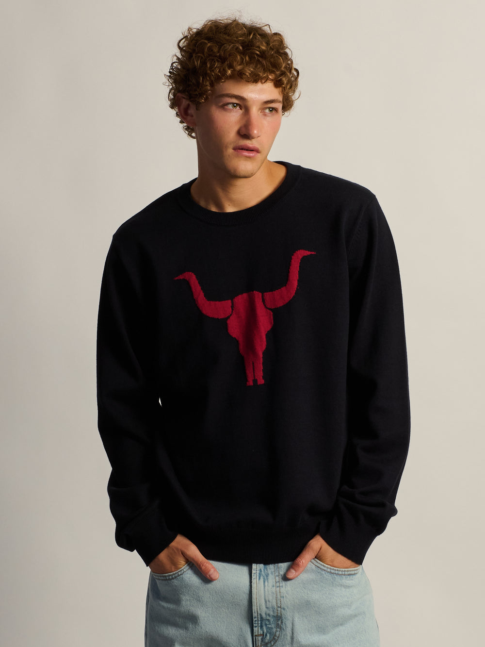 KOLBY GRAPHIC SWEATER - NAVY