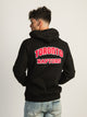 NBA NBA TORONTO RAPTORS GRADIENT EMBROIDERED HOODIE - Boathouse