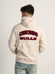 NBA NBA CHICAGO BULLS GRADIENT EMBROIDERED HOODIE - Boathouse