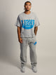 NFL NFL LIONS SC VINTAGE T-SHIRT - Boathouse