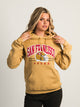 NFL NFL SAN FRANCISCO 49ERS PULLOVER HOODIE - Boathouse