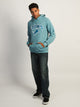 NFL NFL DETROIT LIONS EMBROIDERED PULLOVER HOODIE - Boathouse