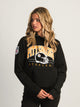 NFL NFL PITTSBURGH STEELERS PULLOVER HOODIE - Boathouse