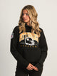 NFL NFL PITTSBURGH STEELERS PULLOVER HOODIE - Boathouse