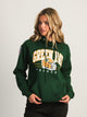 NFL NFL GREEN BAY PACKERS PULLOVER HOODIE - Boathouse