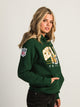 NFL NFL GREEN BAY PACKERS PULLOVER HOODIE - Boathouse