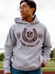 HOODIE NFL VINTAGE HORSESHOE