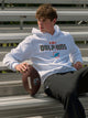 NFL NFL MIAMI DOLPHINS LOGO PULLOVER HOODIE - Boathouse