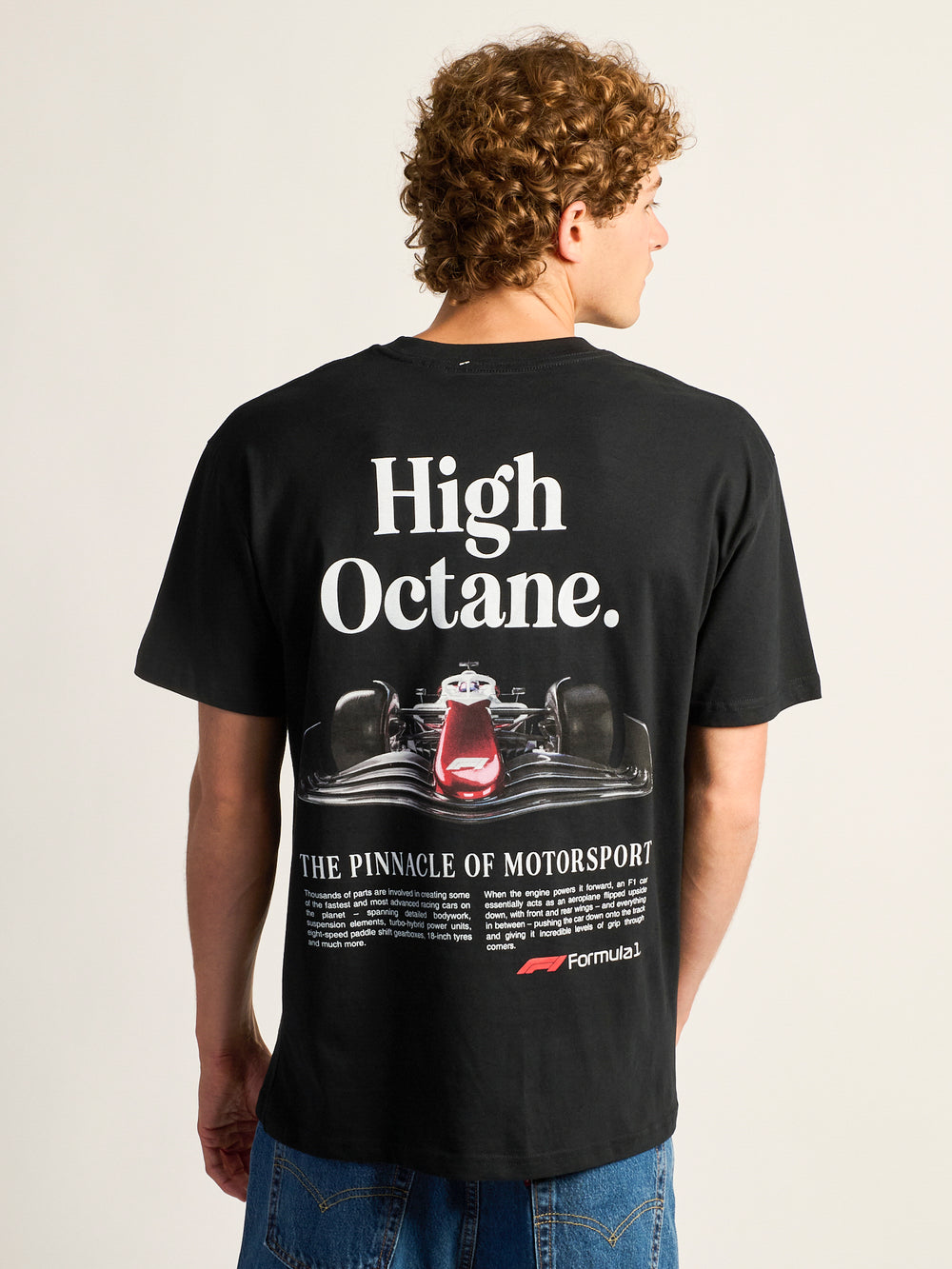 FORMULA 1 T-SHIRT