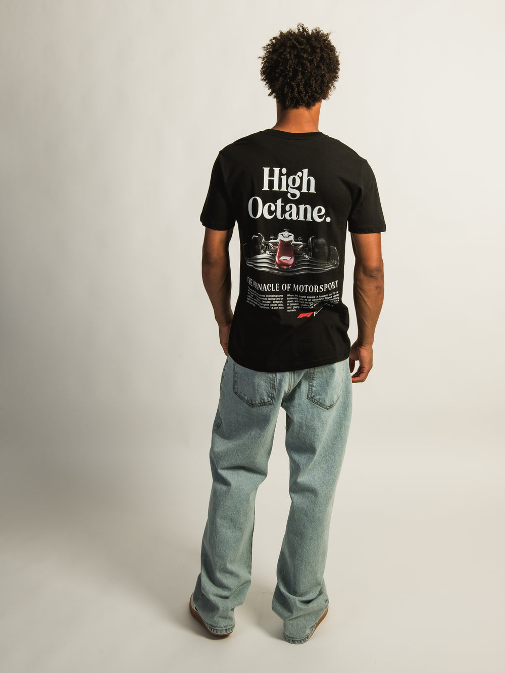 FORMULA 1 T-SHIRT