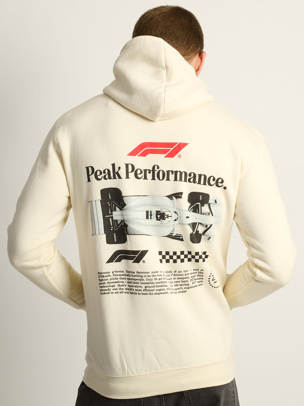 HOODIE F1 PULLOVER