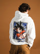 NTD APPAREL NTD APPAREL DRAGONBALL Z GOKU PULLOVER HOODIE - CLEARANCE - Boathouse