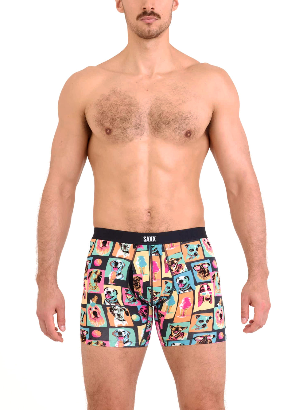 SAXX VIBE SUMMER DOGS OF SAXX BOXER BRIEF