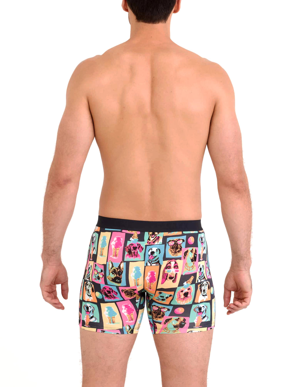 SAXX VIBE SUMMER DOGS OF SAXX BOXER BRIEF