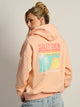 SALTY CREW SALTY CREW SIMPLICITY HOODIE - Boathouse