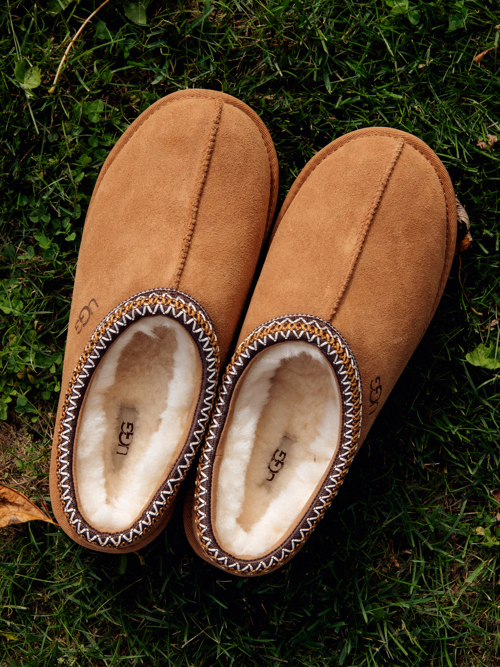 PANTOUFLES UGG TASMAN CHESTNUT POUR FEMME