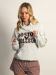 VARSITY NCAA BOSTON PULLOVER HOODIE - Boathouse