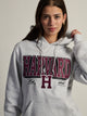 VARSITY NCAA HARVARD PULLOVER HOODIE - Boathouse