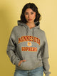 VARSITY NCAA MINNESOTA PULLOVER HOODIE - Boathouse