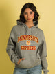VARSITY NCAA MINNESOTA PULLOVER HOODIE - Boathouse