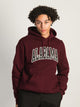VARSITY NCAA ALABAMA PULLOVER HOODIE - Boathouse