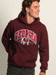 VARSITY GEORGIA PULLOVER HOODIE - Boathouse