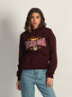 VARSITY NCAA MINNESOTA PULLOVER HOODIE - Boathouse