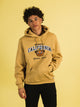 VARSITY NCAA BERKELEY PULLOVER HOODIE - Boathouse