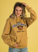 VARSITY NCAA BERKELEY PULLOVER HOODIE - Boathouse