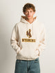 VARSITY NCAA WYOMING PULLOVER HOODIE - Boathouse