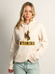 VARSITY NCAA WYOMING PULLOVER HOODIE - Boathouse