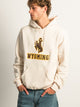 VARSITY NCAA WYOMING PULLOVER HOODIE - Boathouse