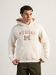 VARSITY NCAA MICHIGAN PULLOVER HOODIE - Boathouse