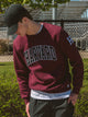 VARSITY NCAA HARVARD SLEEVE EMBROIDERED CREW - Boathouse