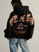 VARSITY NCAA TEXAS SLEEVE TO SLEEVE PULLOVER HOODIE - Boathouse